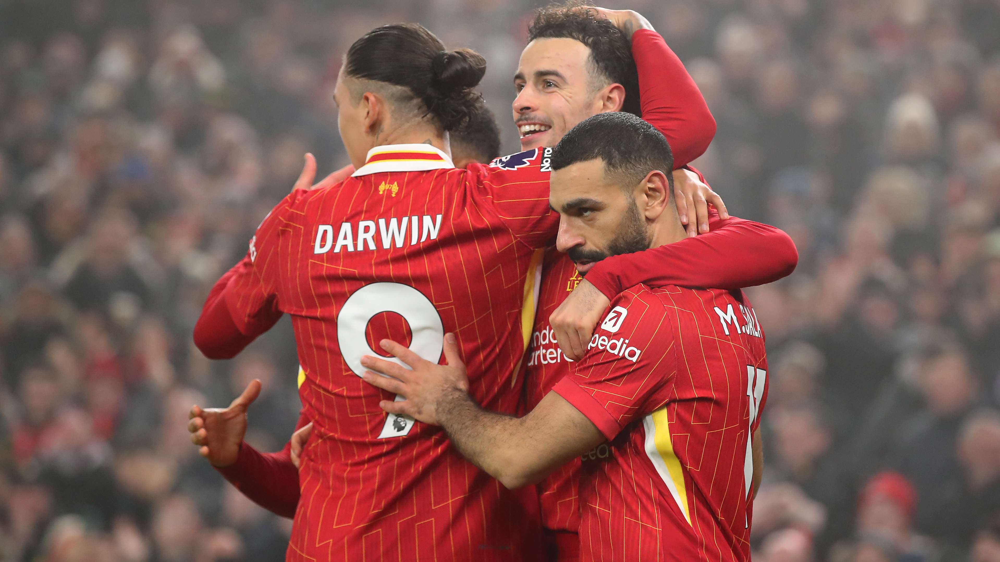 的坚定与勇 的坚定与勇